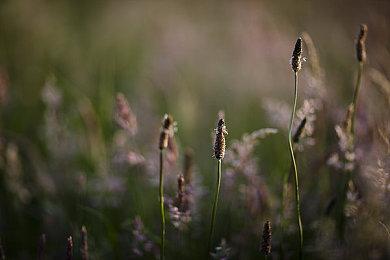 新世代主机版发售 《歧路旅人》系列销量突破400万